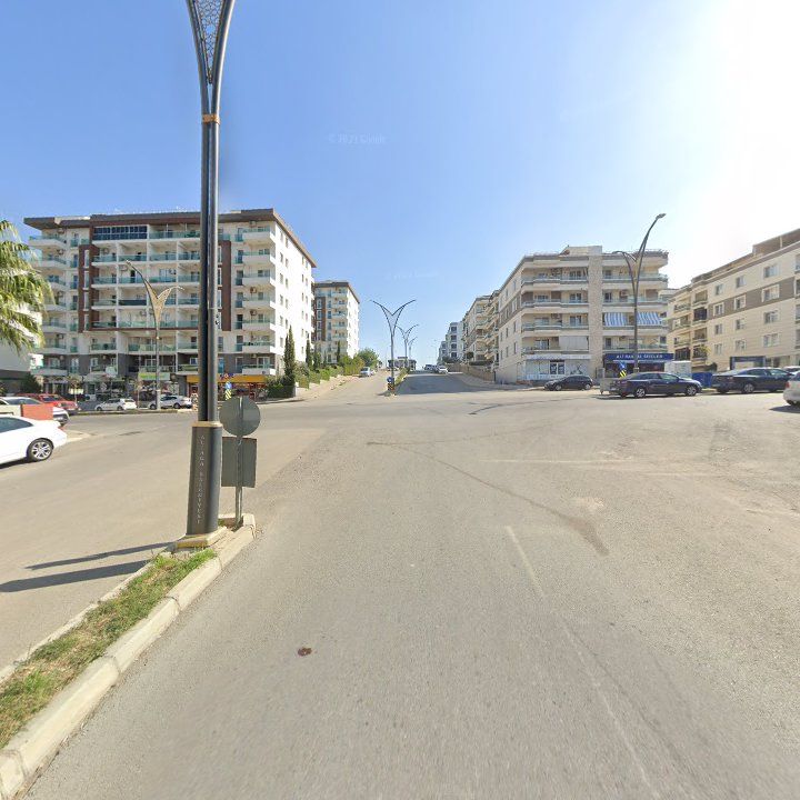 Fotoğraf 10