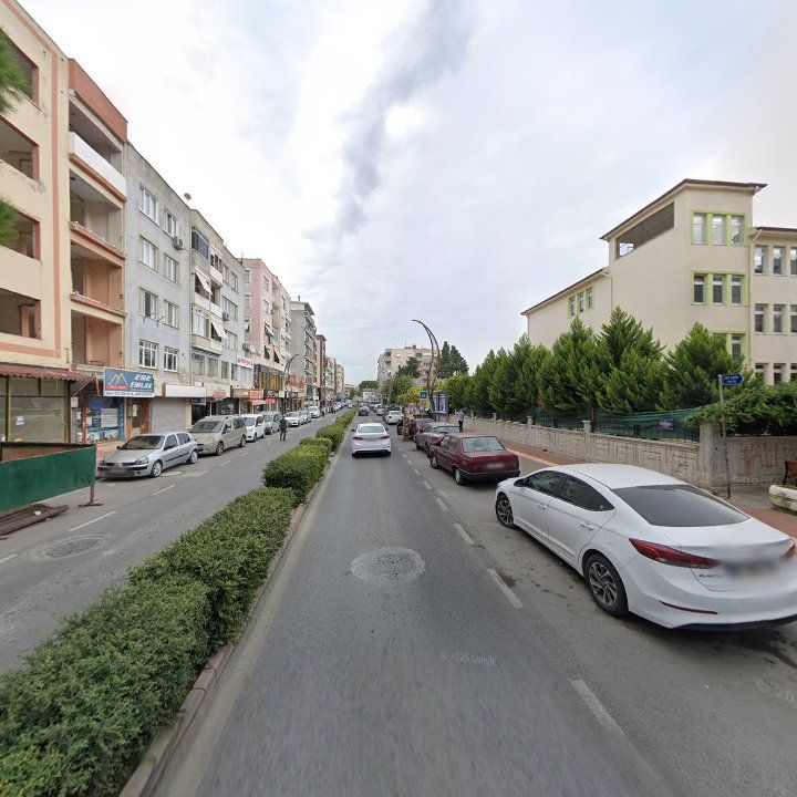 Fotoğraf 7