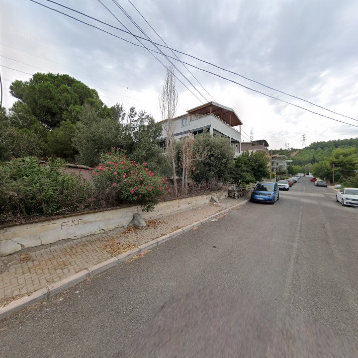 Fotoğraf 3