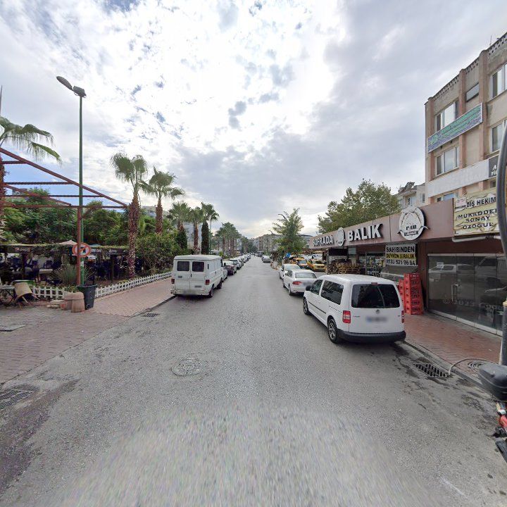 Fotoğraf 10