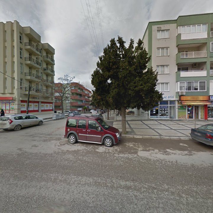 Fotoğraf 11