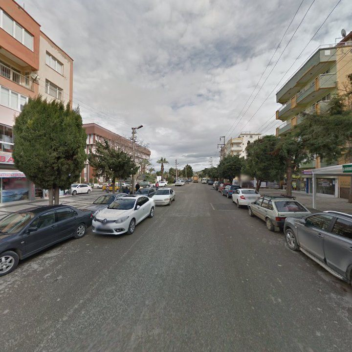 Fotoğraf 7