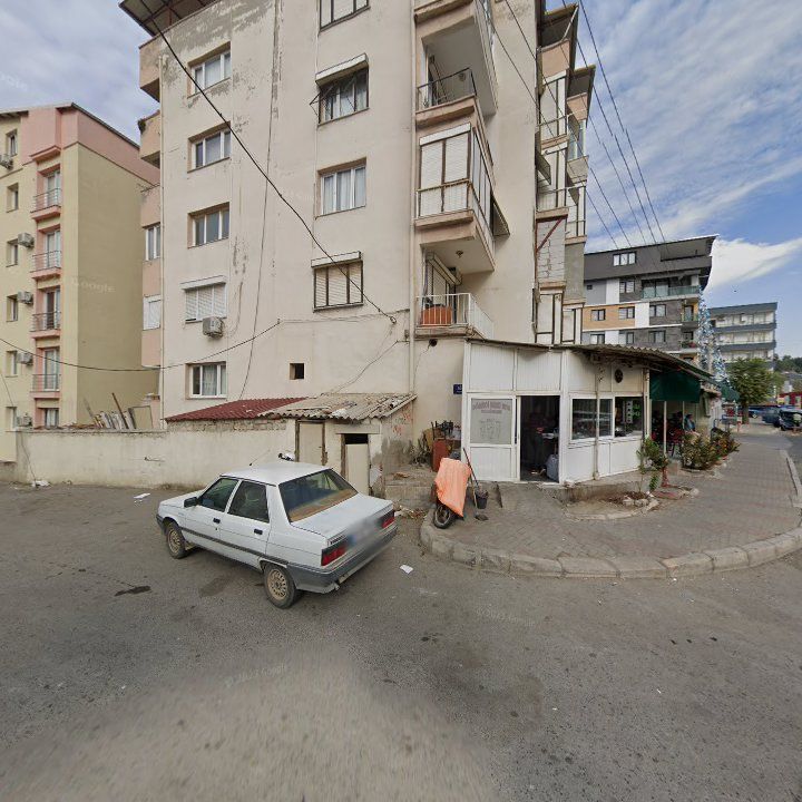 Fotoğraf 3