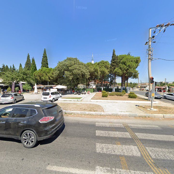 Fotoğraf 9