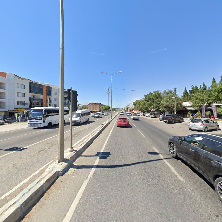 Fotoğraf 8