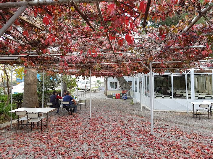 Yıldız Mangal Restoran