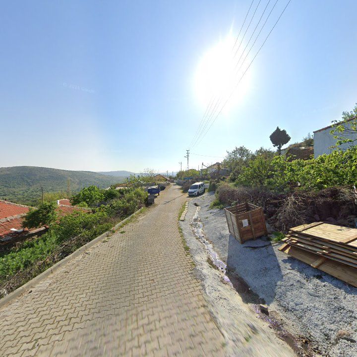 Fotoğraf 3