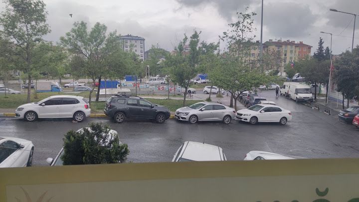 Fotoğraf 8