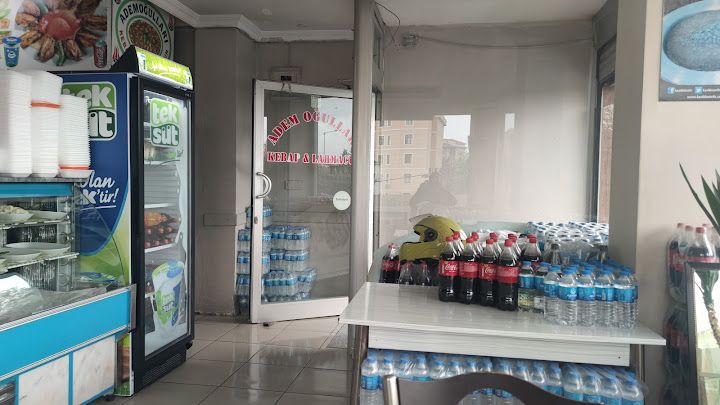 Fotoğraf 9
