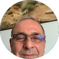 AliDüzgün Gök