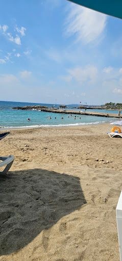 Yorum fotoğrafı 5