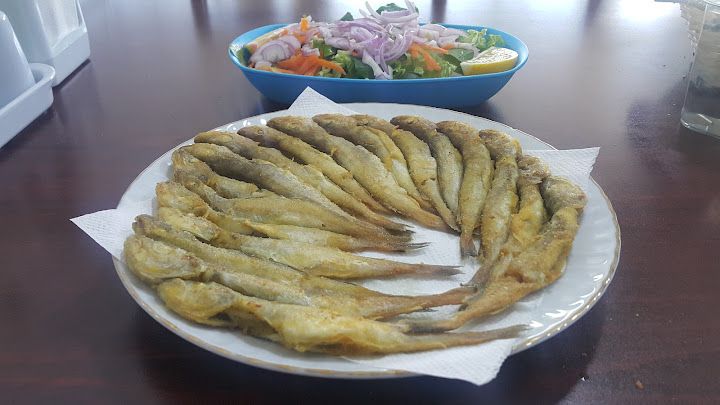 Fotoğraf 12