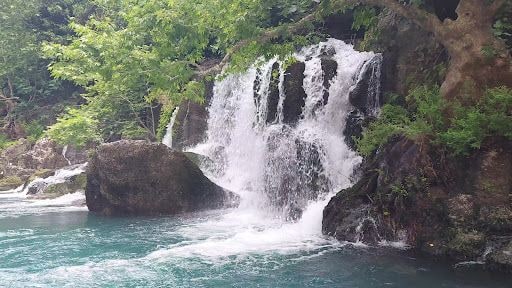 Fotoğraf 20