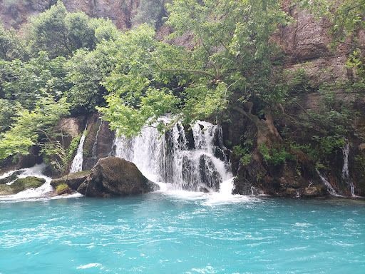 Fotoğraf 24