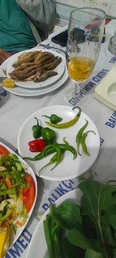 Fotoğraf 13
