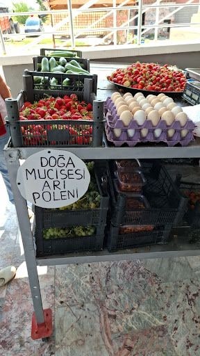 Yorum fotoğrafı 8