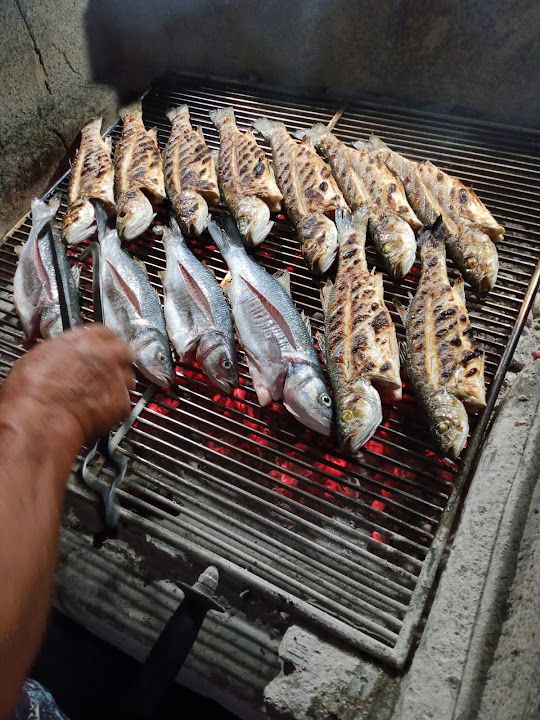 Fotoğraf 11