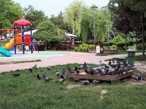 Yorum fotoğrafı 4