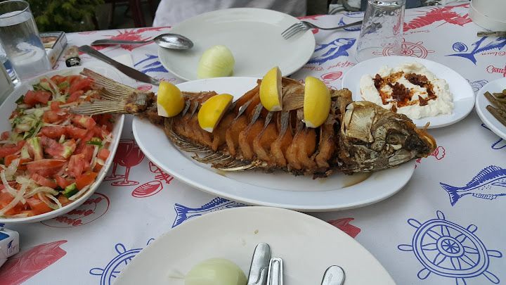 Fotoğraf 15