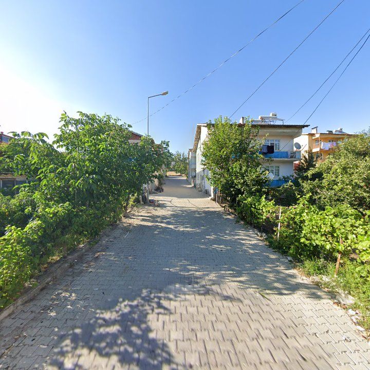 Fotoğraf 3