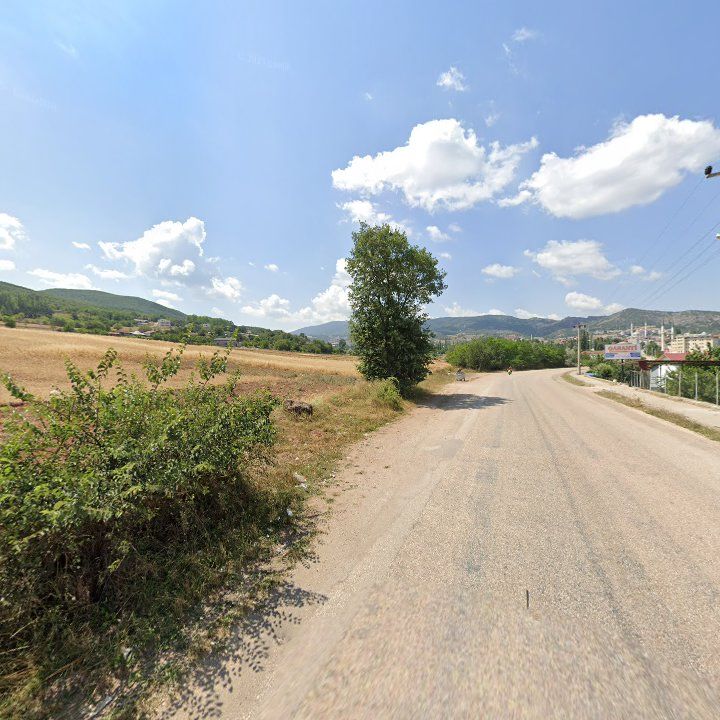 Fotoğraf 5