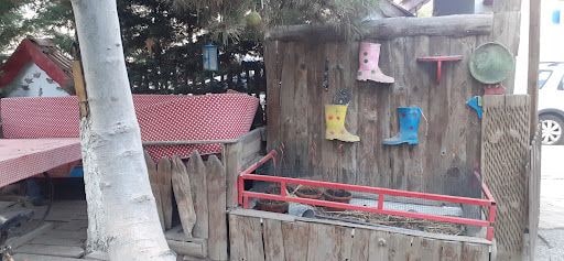 Yorum fotoğrafı 8