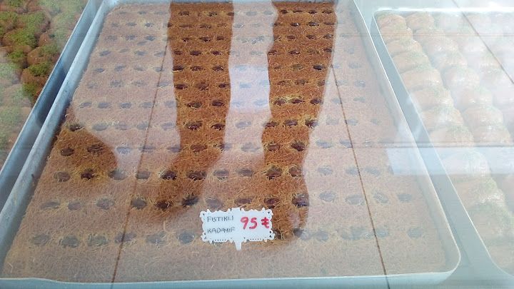 Fotoğraf 12