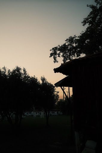 Fotoğraf 53