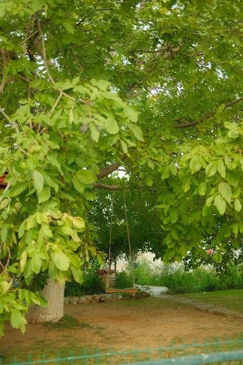 Fotoğraf 54