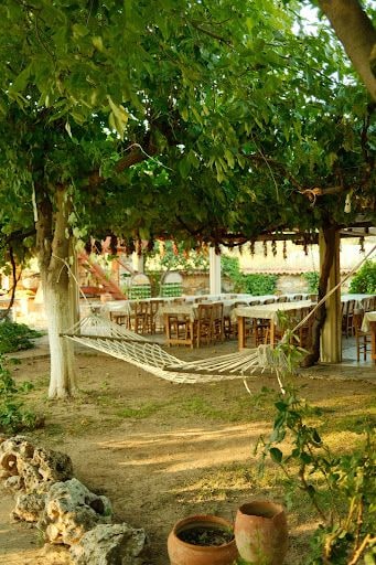 Fotoğraf 55