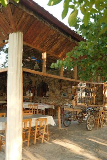 Fotoğraf 56
