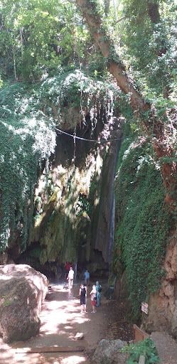 Yorum fotoğrafı 5