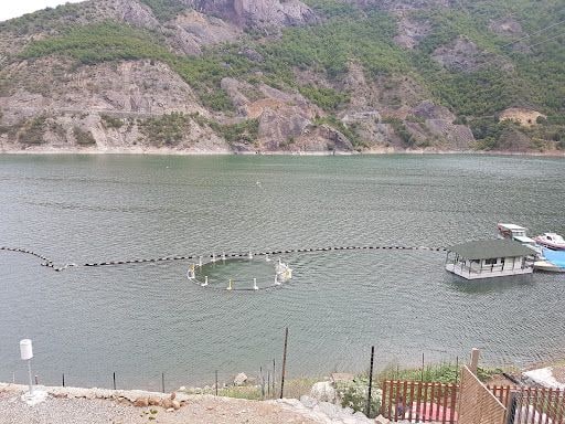 Fotoğraf 20