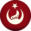 alper gündoğdu