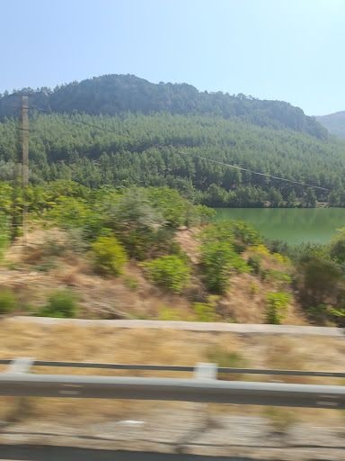 Fotoğraf 22