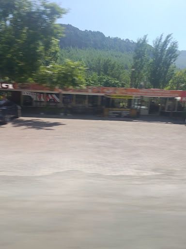 Fotoğraf 23