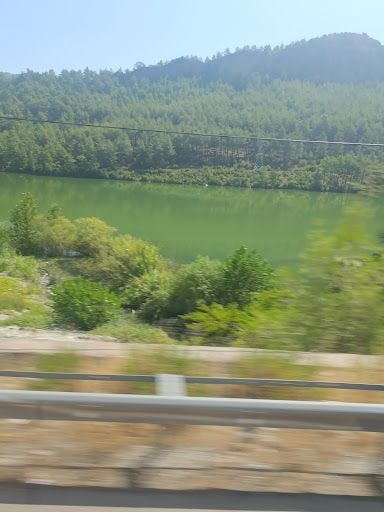 Fotoğraf 24