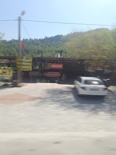 Fotoğraf 25
