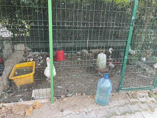 Yorum fotoğrafı 10
