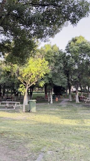 Yorum fotoğrafı 6