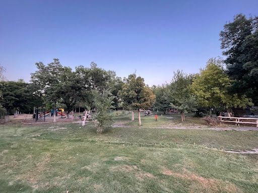 Yorum fotoğrafı 8
