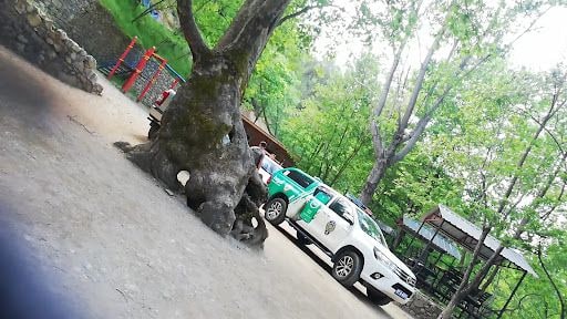 Yorum fotoğrafı 5