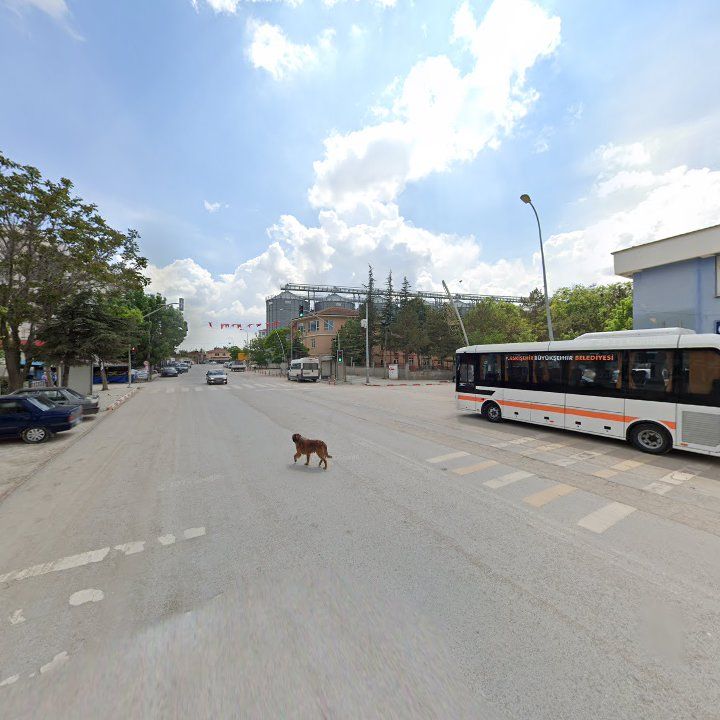 Fotoğraf 9