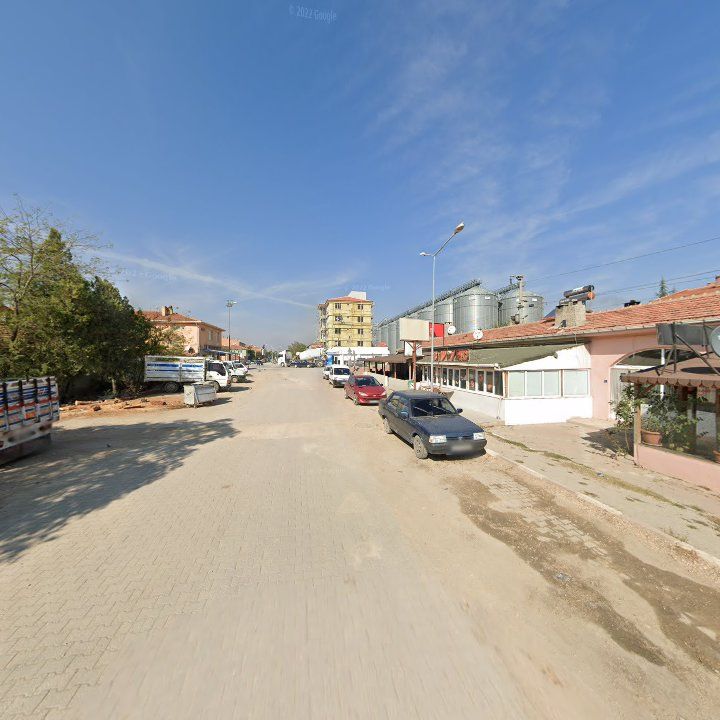 Fotoğraf 7