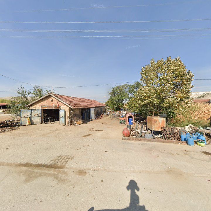 Fotoğraf 9