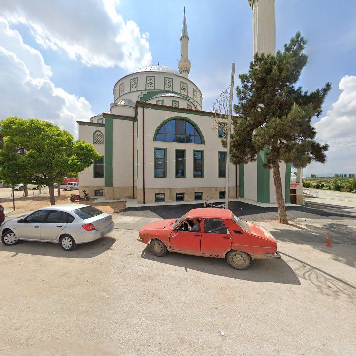 Fotoğraf 8