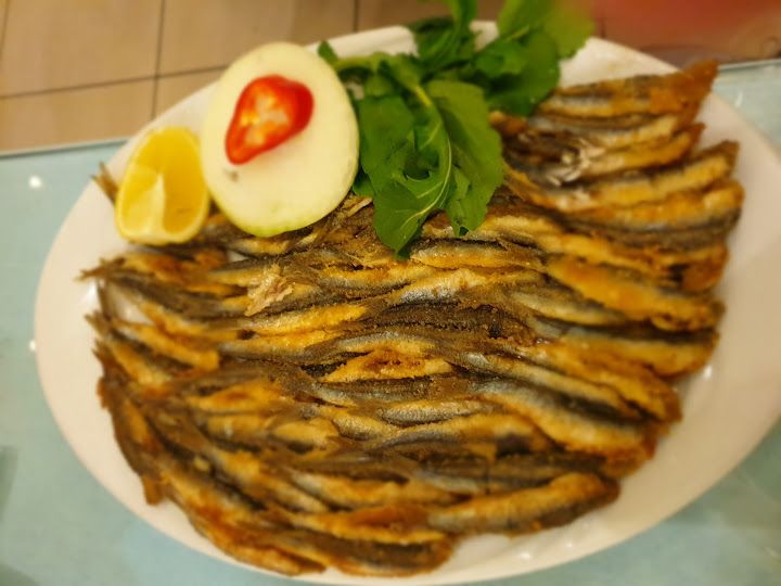 Fotoğraf 44