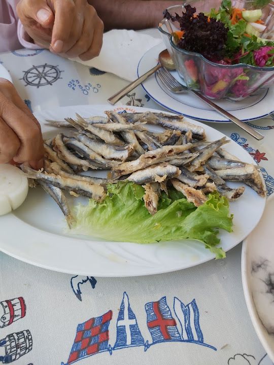 Fotoğraf 47