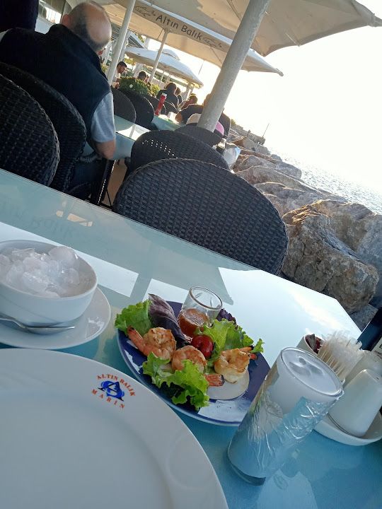 Fotoğraf 46