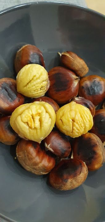 Fotoğraf 12
